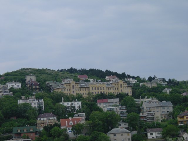 View from my room