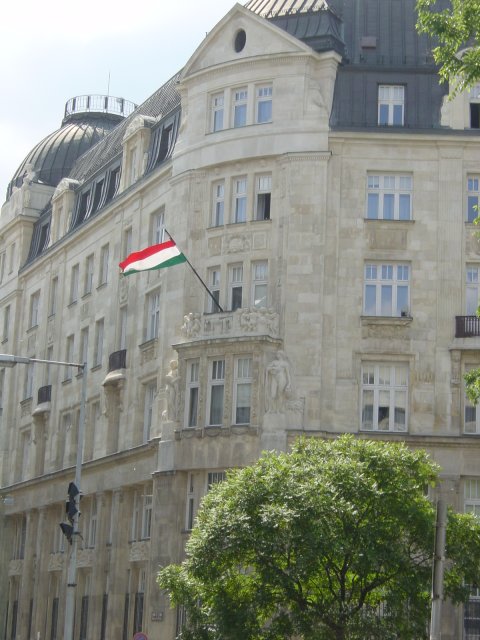 Hungarian flag