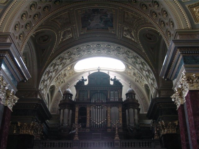 Organ