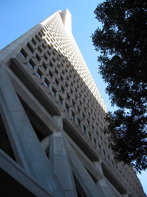 Transamerican Pyramid from the bottom