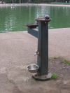 Water fountains for adults, children and dogs