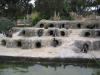 Penguins