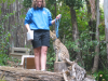 Wild cat