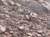 Three horned animals (well hidden in the rocks)