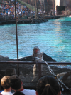 Waterworld