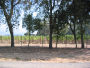 Vineyards