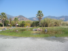 The pond