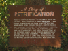 Painted story of petrification