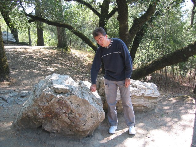 Steph touching petrified wood