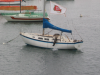 Sea lion jumping on the boat