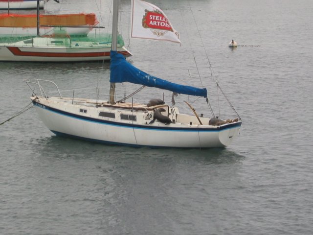 Sea Lions on the boat
