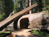 Tunnel carved in the trunk of the fallen sequoia