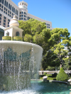 Fountain in front of the Bellagio