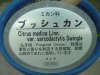 Citrus medical (multi-legged lemon)