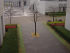 Colors of a rainy day on the Keio Campus