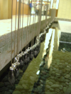 Beads above water