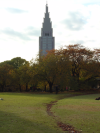Mud path cutting through grass, autumn trees and a high building