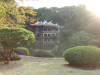 Japanese Traditional Garden 