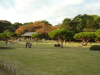 Japanese Traditional Garden 
