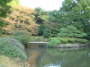 Japanese Traditional Garden 