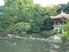 Japanese Traditional Garden 