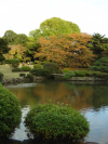 Japanese Traditional Garden 