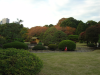 Small girl running through the Japanese Traditional Garden 