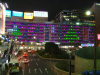 Lights at night annoucing Christmas