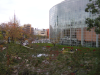 Garden with trees and pond next to a glass building (Tokyo tower in the background)