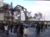The spider and the Tokyo Tower