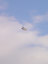 Zeppelin