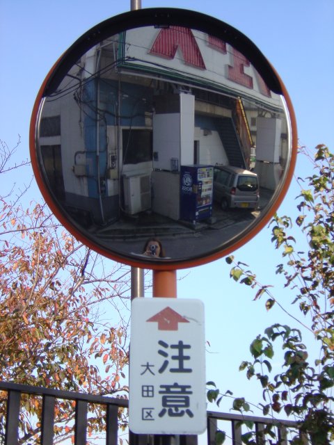 Mirror project