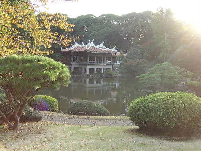 Japanese Traditional Garden 