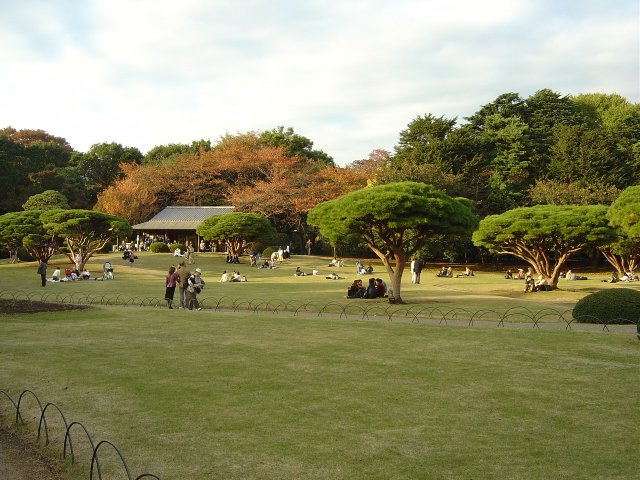 Japanese Traditional Garden 