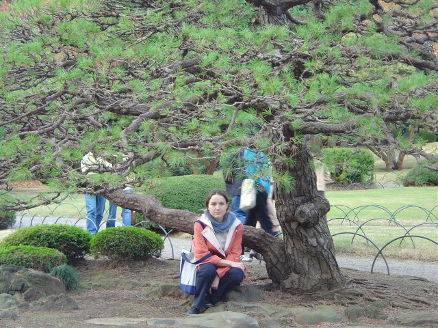 Carine resting on a stone under a pine tree
