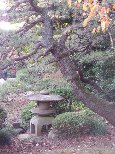 Japanese Traditional Garden 