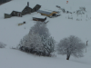 Arbres et maisons enneigees