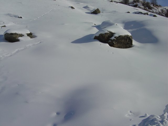 Neige fraiche
