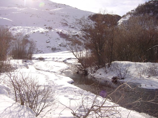La riviere et ses bancs enneiges