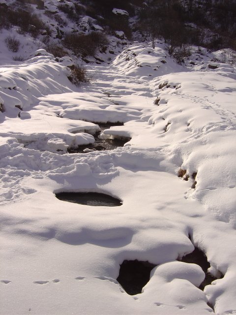 La riviere coule sous la neige