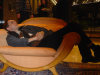 Max reclining in the armchair