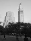 Building erupting above trees