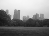 Buildings beyond central park