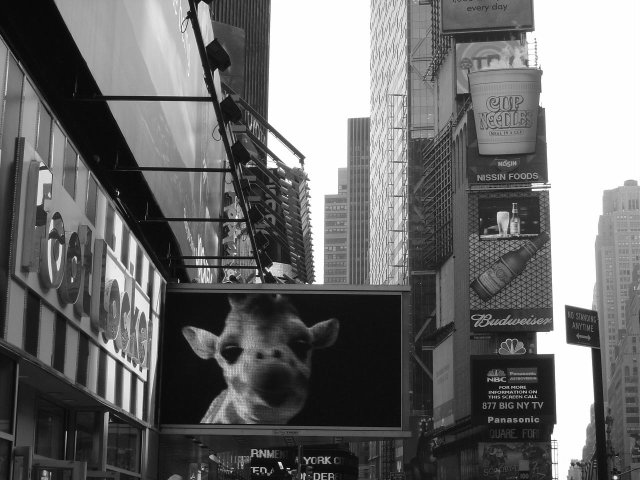 Time Square