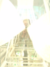 Les algues spatiales --mirror project