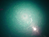 Vortex