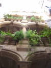 Balcons feuillus