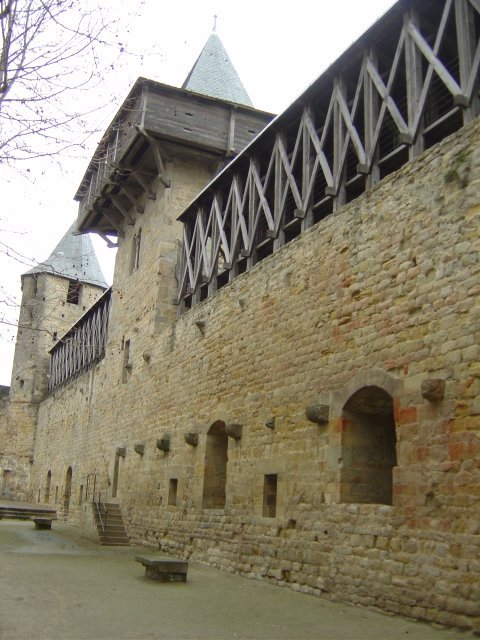 The castle