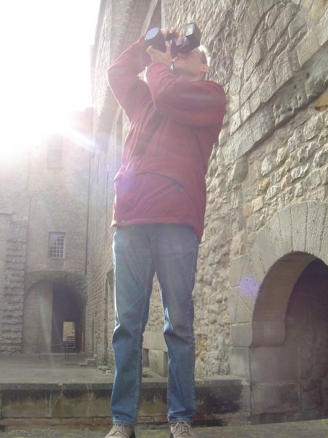 Bert perched to take a picture