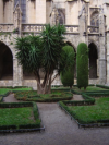 Garden in the cloister